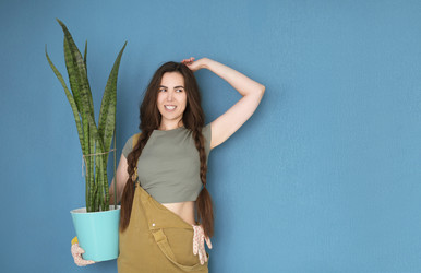 Similar image 21049902