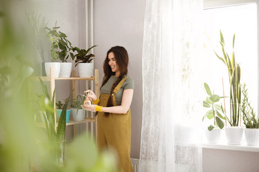 Similar image 21049910