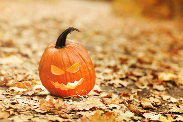 Similar image 21050325