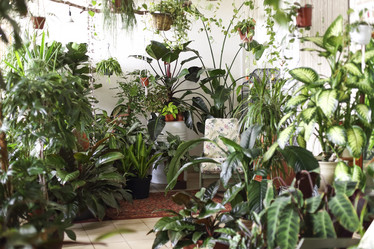 Similar image 21050338