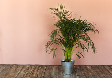 Similar image 21044262