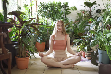 Similar image 21044999