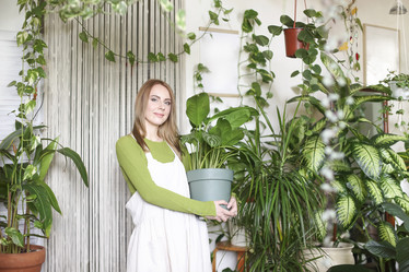 Similar image 21048457