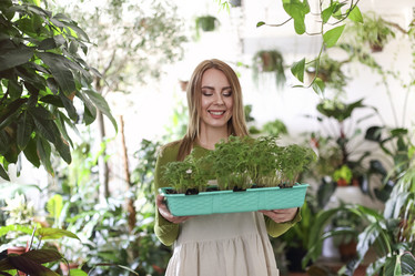 Similar image 21048925