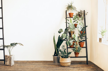 Similar image 21043632