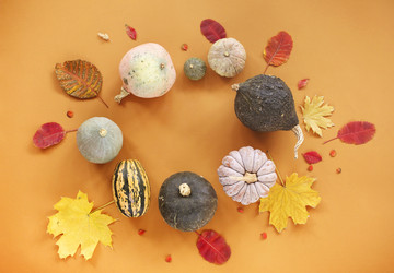 Similar image 21048475