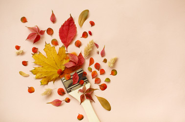 Similar image 21048476