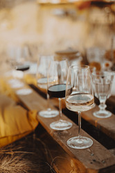 Similar image 21043644