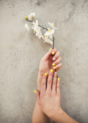 Similar image 21039937