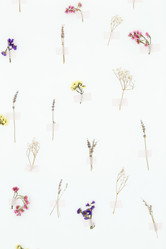 Similar image 21040835