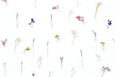 Similar image 21043676