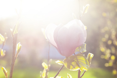 Similar image 21029412