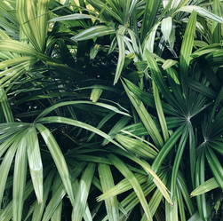 Similar image 21048722