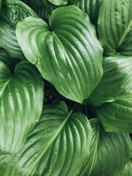 Similar image 21048723