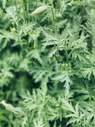 Similar image 21048724