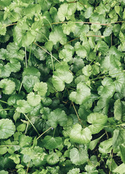 Similar image 21048725