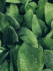 Similar image 21048726