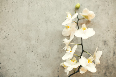 Similar image 21039963