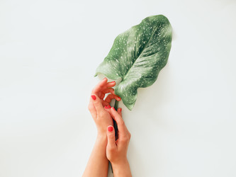 Similar image 21039558