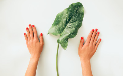 Similar image 21039559