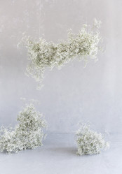 Similar image 21048525