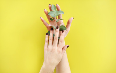 Similar image 21029370