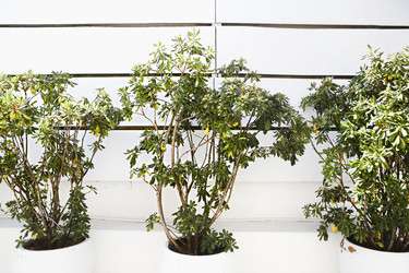 Similar image 21045033