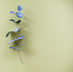 Similar image 21048842