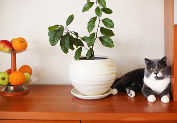 Similar image 21048956