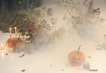 Similar image 21043706