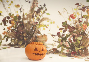 Similar image 21043712