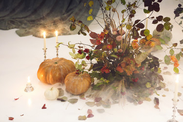 Similar image 21048554