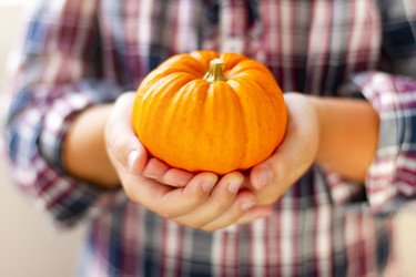 Similar image 21048967