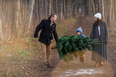 Similar image 21049997