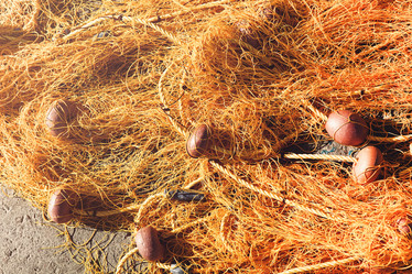 Similar image 21044293