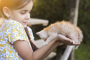 Similar image 21048578