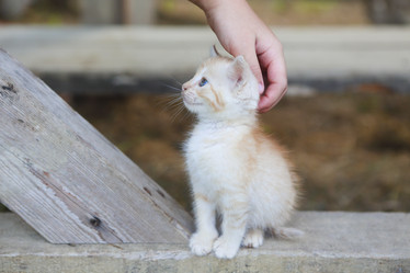 Similar image 21048579