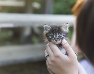 Similar image 21048580