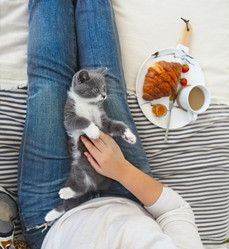 Similar image 21044462