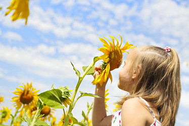 Similar image 21048644