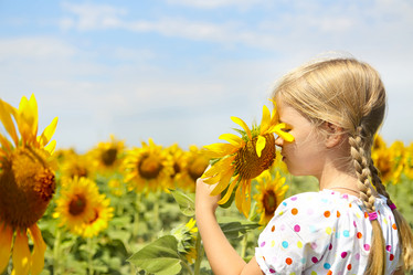 Similar image 21048646