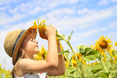 Similar image 21048647