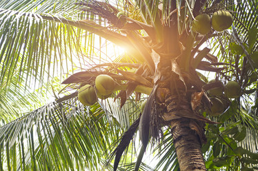 Similar image 21040890