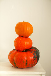 Similar image 21043780