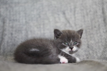 Similar image 21039644