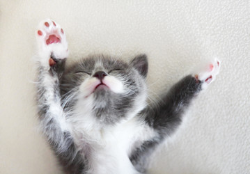 Similar image 21043790