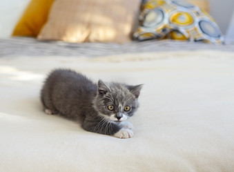 Similar image 21043791