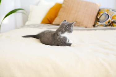 Similar image 21044278