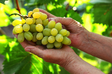 Similar image 21077656