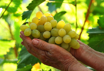 Similar image 21077658